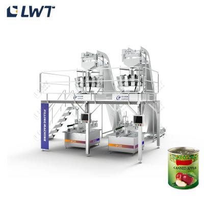 China Spezielle Produktion von Obstkonserven Apfel-Automaten zu verkaufen