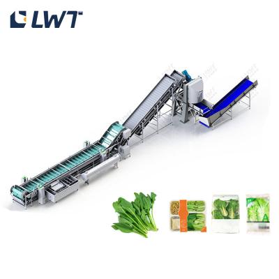 China Spinach Quick Freezing Line Fruit And Vegetable Quick Freezing Processing Equipment for sale