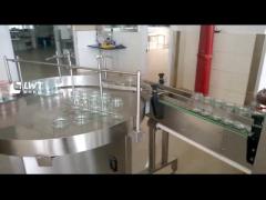 Automatic Hot Sauce Filler Machine Tomato Sauce Bottle Filling Packaging Line