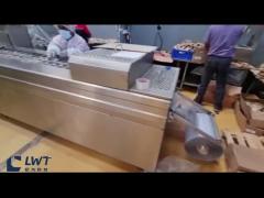 Fish segment stretch film vacuum packaging machine