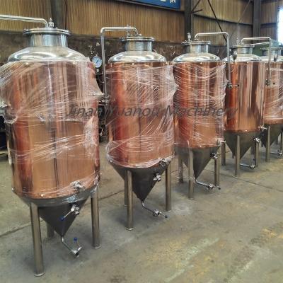 China 300 liter red copper bar brewing beer brew beer equipment conical fermenter for sale