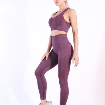 China 2021 Women Yoga Sets Workout Suit Activewear Beautiful Ladies Yoga Set Women Fitness Breathable Legging Women for sale