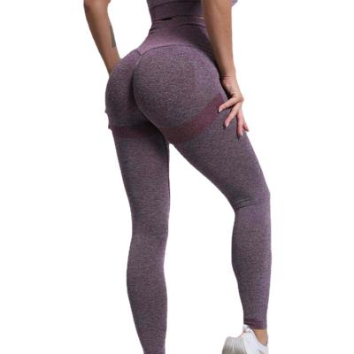 China 2021 Women Breathable High Waist Seamless Srunch Back Butt Lifting Proof Squat Gaiters for sale