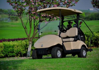 China High Safe 48V 3 KW Electric 2 Seater Golf Carts , Club Car Golf Buggy CE Certificate for sale