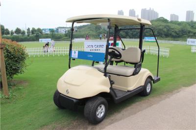 China Two Seater Pure Electric Power Road Legal Golf Cart With Plastic Bodywork for sale