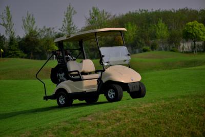 China Custom Electric 2 Seater Golf Carts / Golf Buggy Club Car Street Legal for sale