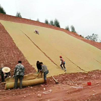 China erosion control blanket Coconut fiber Geotextile coir geotextile for sale