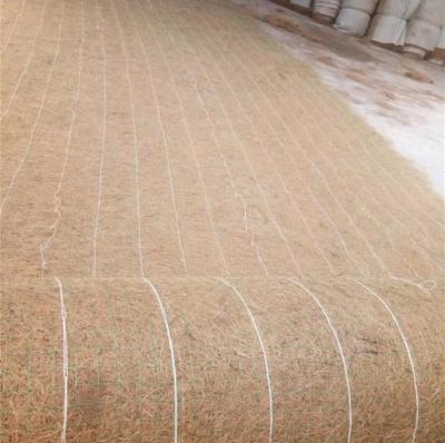 China biodegradable natural fiber erosion blanket slope control reinforcement factory price for sale