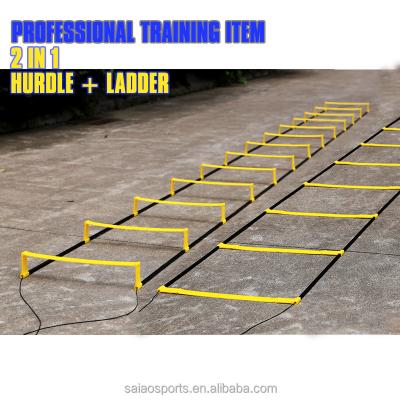 China 2 in 1 2in1 Multifunctional Agility Pro Ladder /hurdle Combo Product for sale