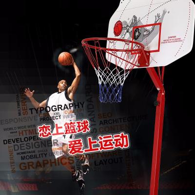 China Diameter 16cm PVC Steel Basketball Rack Movable for sale