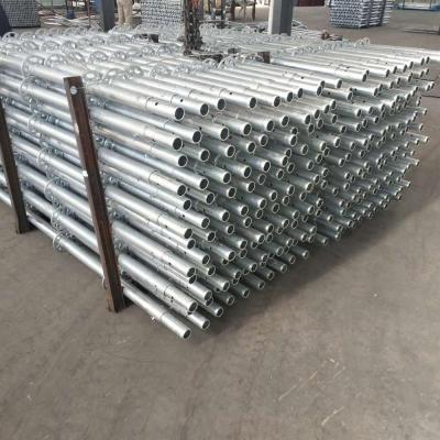 China Q345 Q235 Vertical Steel Q235 Q345 Standard Hot Dipped Galvanized Ringlock Scaffolding System for sale