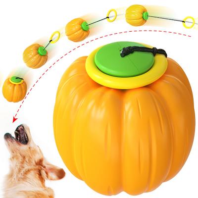 China Viable Pet Teething Squeaky Dog Chewing Teething Fetching Toys Pumpkin Tpr Dog Toy Chew For Aggressive for sale