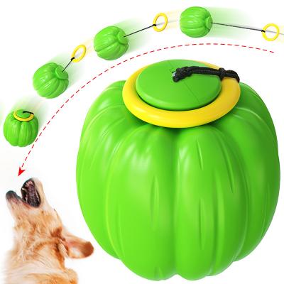 China Pumpkin Dog Toy Dog Toothbrush Teeth Cleaning Viable Explosive Wholesale Chew Toys Non-Toxic Chews For Dogs for sale