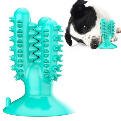 China Cactus Teether Dog Chew Stick Holder Dog Chew Stick Holder Pet Toy For Dogs Rubber Chew Toy For Dogs for sale