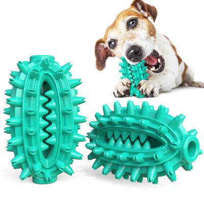 China Stored Interactive Dog Toothbrush Water Toys Dog Water Toys Tpr Pet Squeaker Durable Floating Chew Toys For Large for sale