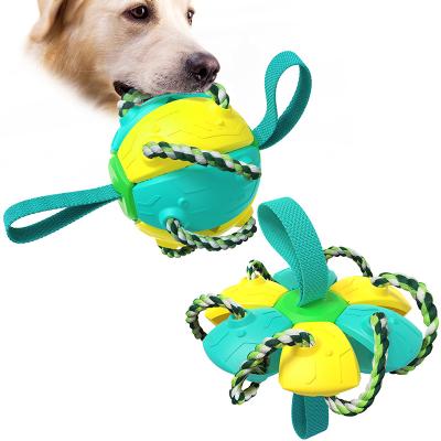 China Outdoor Stocked Toy Dog Interactive Toys Game Chew Discs Puppy Heavy Duty Pet Quality Chew Discs Leisure Toys for sale