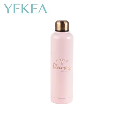 China 2022 Viable Hot Selling Daisy 550ml Stainless Steel D-Wall Water Travel Bottle Tumblers For Girls for sale