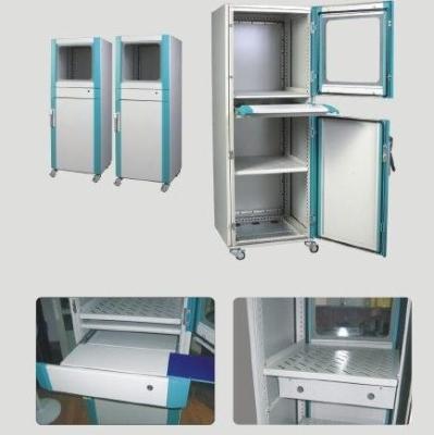 China Anti Corrosive IT Rack Enclosures / Server Storage Cabinet For Network Equipment for sale