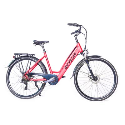 China Steel Fat Bike 48V 10Ah Ebike Strong Power 26