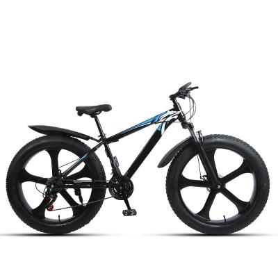 China Aluminum Alloy Electric Powerful Bike Bicycle 20' Fat Tire Bike Mountain Ebike Battery Moped Snow Beach 750W 48V/13AH for sale