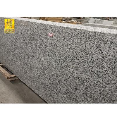 China Cheap Modern BOTON STONE Chinese Gray Granite Flooring Tile Polished Slab Wall Cladding G603 Granite for sale