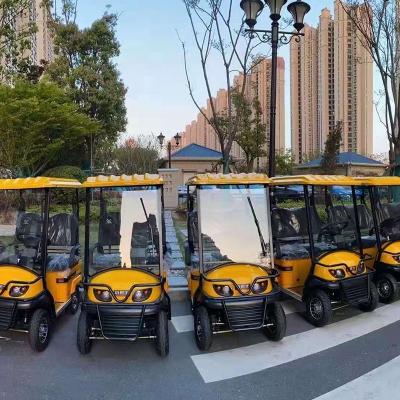 China New Scenic Electric Four Wheel Passenger Power High End Leisure Open Body For Four Wheeler With 2 People Seats for sale