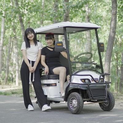 China Passenger Type E600 New New Energy Tourist Electric Four Wheeler High End Leisure Open Body For Four Wheeler With 2 Seats for sale