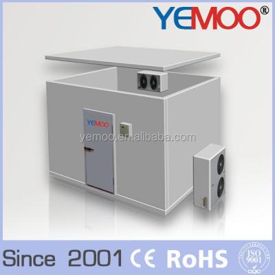 China YEMOO fish solar power blast freezer vegetable frozen cold storage for sale for sale