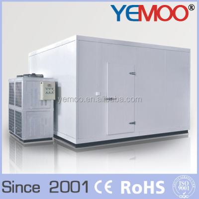 China YEMOO Vegetable Frozen Fish Blast Batch Freezer Cold Storage Container For Sale for sale