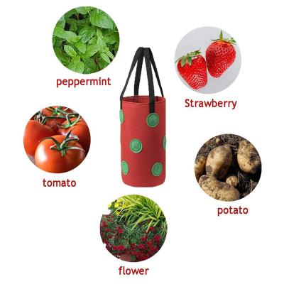 China Planting Strawberry Nonwoven Fabric 10 Gallon Strawberry Planter Bags Hanging Vegetables Tomatoes Strawberry Grow Bags for sale