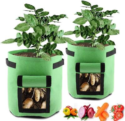 China Eco-friendly Hot Sale Garden Tool Green Potato Growing Bags For Home for sale