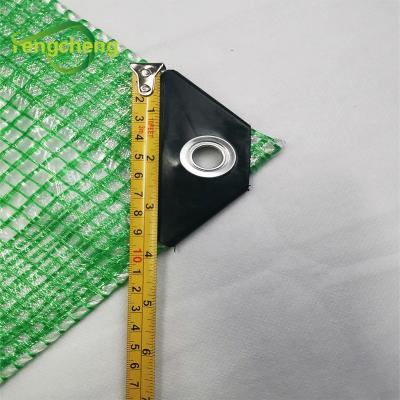 China UV Resistant Water Resistant Greenhouse Grid Rainproof Tarpaulin Plastic Clear Gauze Tarpaulin for sale