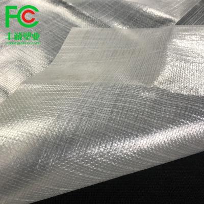 China Greenhouse Seedling Growing 6mil 8mil 9mil HDPE Greenhouse Film Horticulture Use Good Quality Transparent Woven Greenhouse Cover for sale