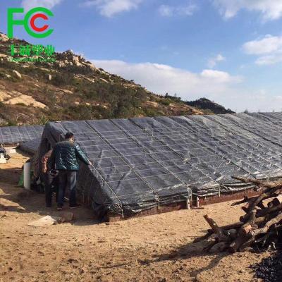 China Mushroom Greenhouse Cover / Tents Spread Greenhouse Film , Plastic Canopy Film For Mushroom Growing House for sale