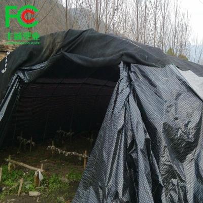 China 15% or 25% grid mushroom greenhouse Three-layer structure black and white film /greenhouses for mushroom for sale