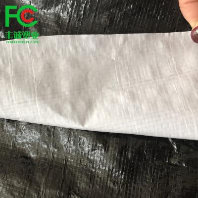 China REFLECT LIGHTWEIGHT Agricultural Plastic Film Black Woven Fabric HDPE White Sheet Panda Film With UV Protection for sale