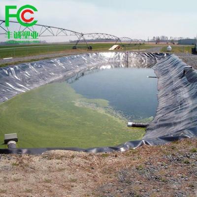 China Easy Woven Fabric Installation Fish Farm Geomembrane Aquaponics System Equipment Water Proof Pond Liner for sale