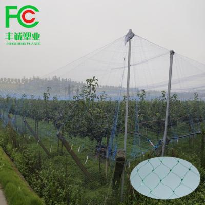 China Anti hail box & cheap anti bird anti bird net/agricultur bird net UV/polyethylene plastic anti hail net for sale