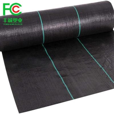 China 100% Virgin PP+UV Weed Mat PP Woven Vegetable Garden Weed Mat For Trees Blueberry Stop Weed Breeding for sale