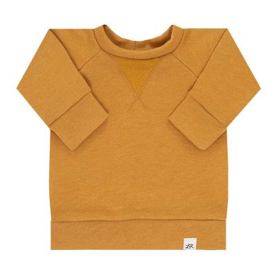 China High Quality Anti-pilling Girls Boys Clothes 100% Spring Soft Breathable Cotton Kid's Long Sleeve Neck Sweatshirt for sale