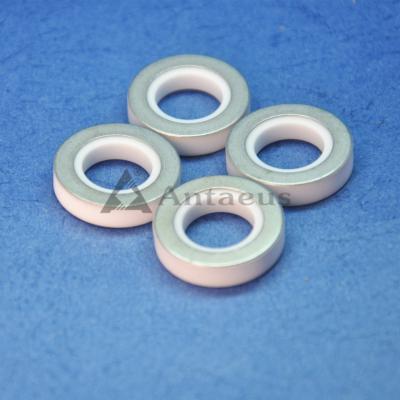 China 95% 96% Al2o3 Alumina Keramische Afdichtring / Wasmachine / Pakking / Afdichtring / Spacer Ring Voor BYD Automotive Lithium Beslag Te koop