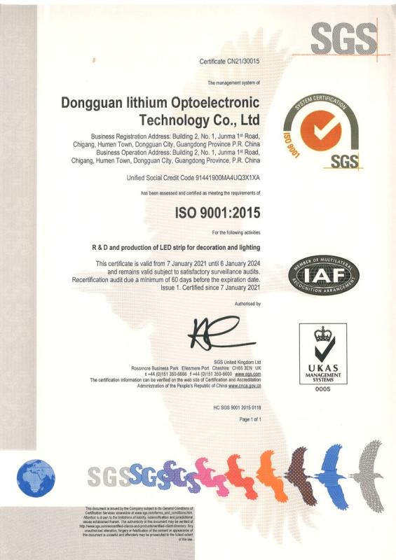 ISO9001 - Dongguan Olympia Lighting Co., Ltd.