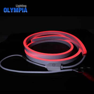 China Felxible Waterpoof Resistance 12V/24V Bottom Water Strip Light BT Multi Color RGBW Cable UV Remote Control Bendable Led Neon Light for sale