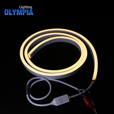 China Felxible Waterpoof UV Resistance Strip Light Underwater Flexible Remote Control Multi Color RGBW Led Neon Cable for sale