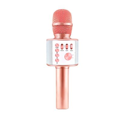 China Protable wireless microphone hot seller speaker handheld karoke microphone for home party H12 for sale