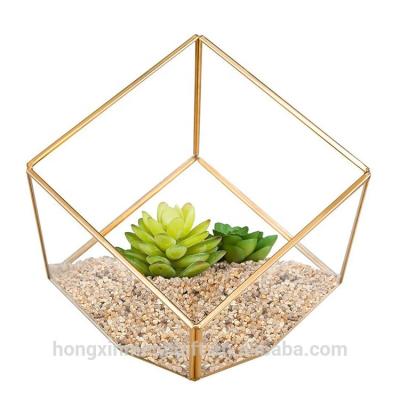 China Modern custom wholesale gold geometric square glass hanging mini greenhouse for indoor factory for sale