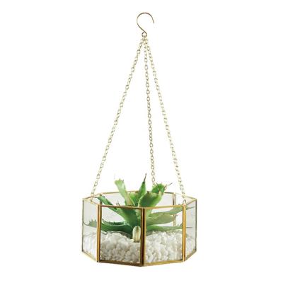 China New product CLASSIC indoor clear geometric handblown glass mini hanging greenhouse for sale