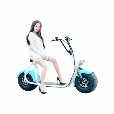 China Workmanship best unisex exquisite choice fully stocked electric citycoco for sale