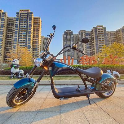 China 2021 unisex citycoco electric motorcycle for adult holland warehouse citycoco for sale