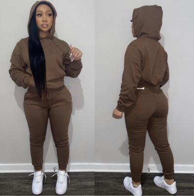 China 2021 Fall Anti-pilling Clothes Long Sleeve Hoodie With Jogger Woman Sweatsuit Cold Set For Woman for sale